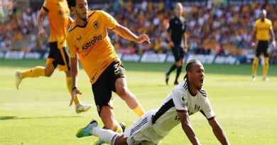 nhan-dinh-fulham-vs-wolves-03h00-ngay-25-2